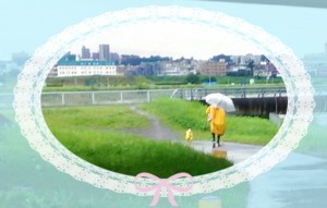 2015-07-06-11-49-26_deco