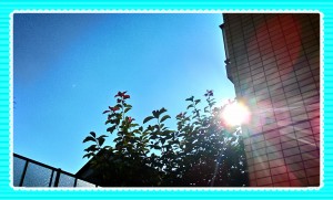 2015-07-11-03-18-38_deco