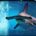 2015-08-15-12-57-56_deco