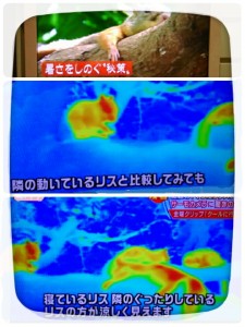 2015-08-22-05-45-36_deco