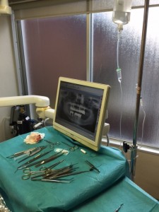 B6A525A3-BAC6-4DE1-A9BA-8868BC33FCA0